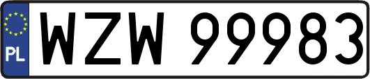 WZW99983