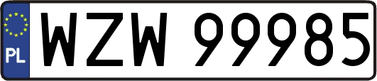 WZW99985