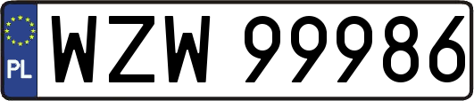 WZW99986