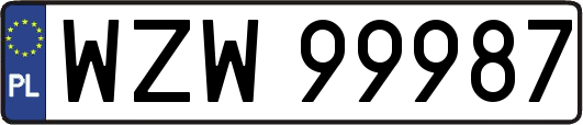 WZW99987