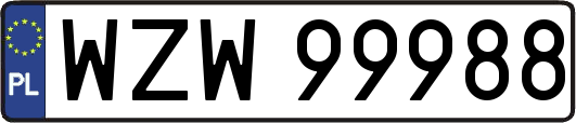 WZW99988
