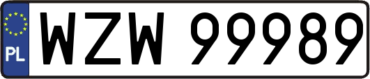 WZW99989