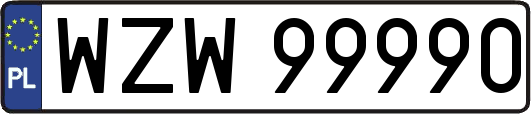 WZW99990
