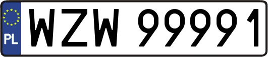 WZW99991