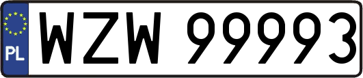 WZW99993