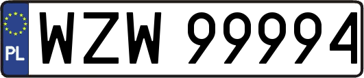 WZW99994