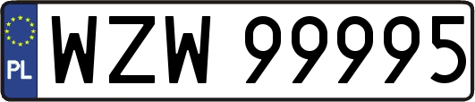 WZW99995
