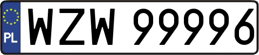 WZW99996