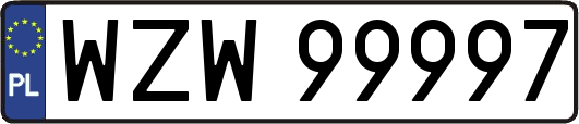 WZW99997