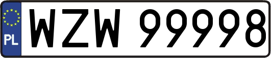 WZW99998