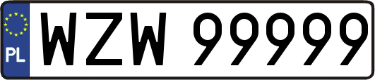 WZW99999