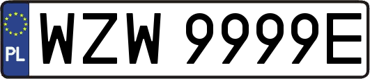 WZW9999E