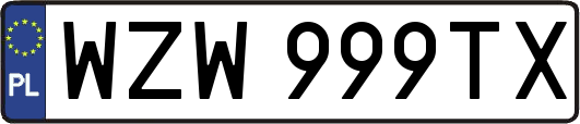 WZW999TX