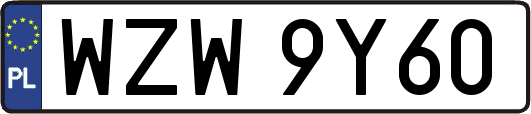 WZW9Y60