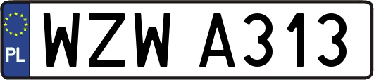 WZWA313