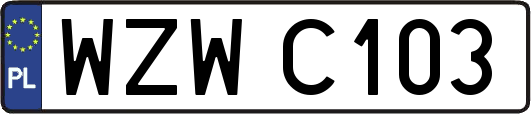 WZWC103