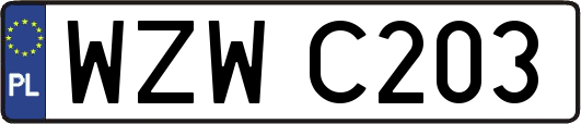 WZWC203