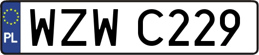 WZWC229