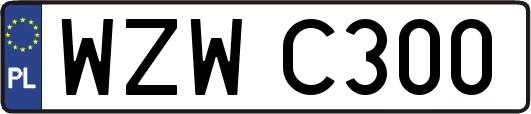 WZWC300