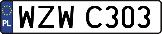 WZWC303