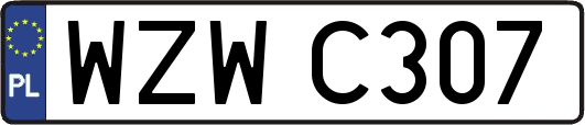WZWC307