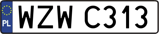 WZWC313