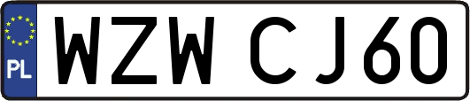 WZWCJ60