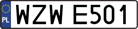 WZWE501