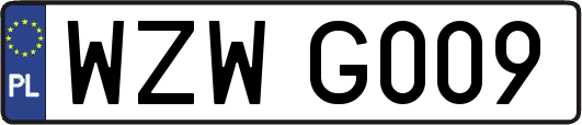 WZWG009