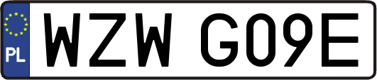 WZWG09E