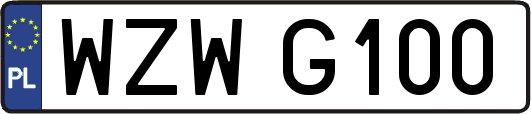 WZWG100