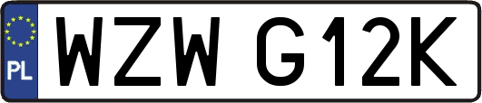 WZWG12K