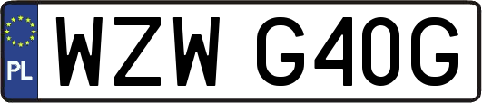 WZWG40G