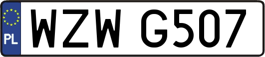 WZWG507