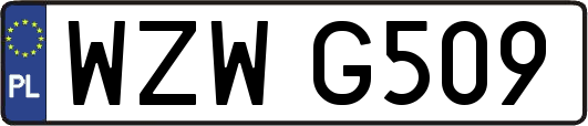 WZWG509
