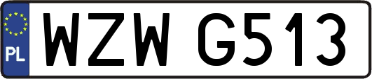 WZWG513