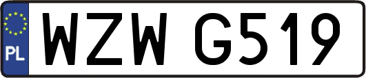 WZWG519