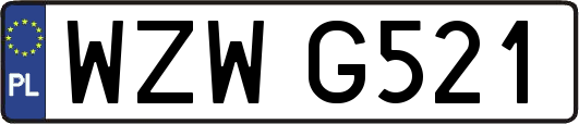 WZWG521