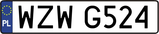 WZWG524
