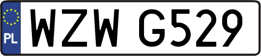 WZWG529