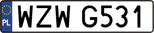 WZWG531