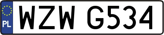 WZWG534