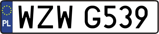 WZWG539