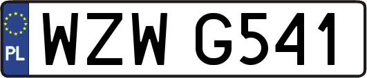 WZWG541