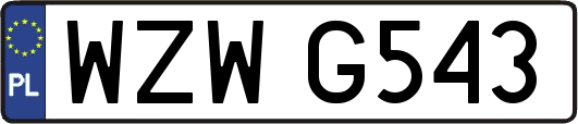 WZWG543