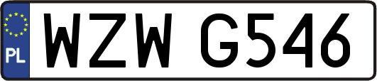 WZWG546
