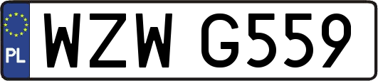 WZWG559