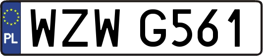 WZWG561