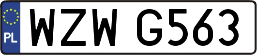 WZWG563