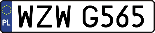 WZWG565